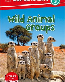 DK Super Readers Level 3 Wild Animal Groups Sale