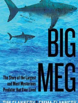 Big Meg: The Story of the Largest and Most Mysterious Predator That Ever Lived on Sale