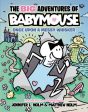 Big Adventures of Babymouse: Once Upon a Messy Whisker (Book 1): (A Graphic Novel), The Fashion